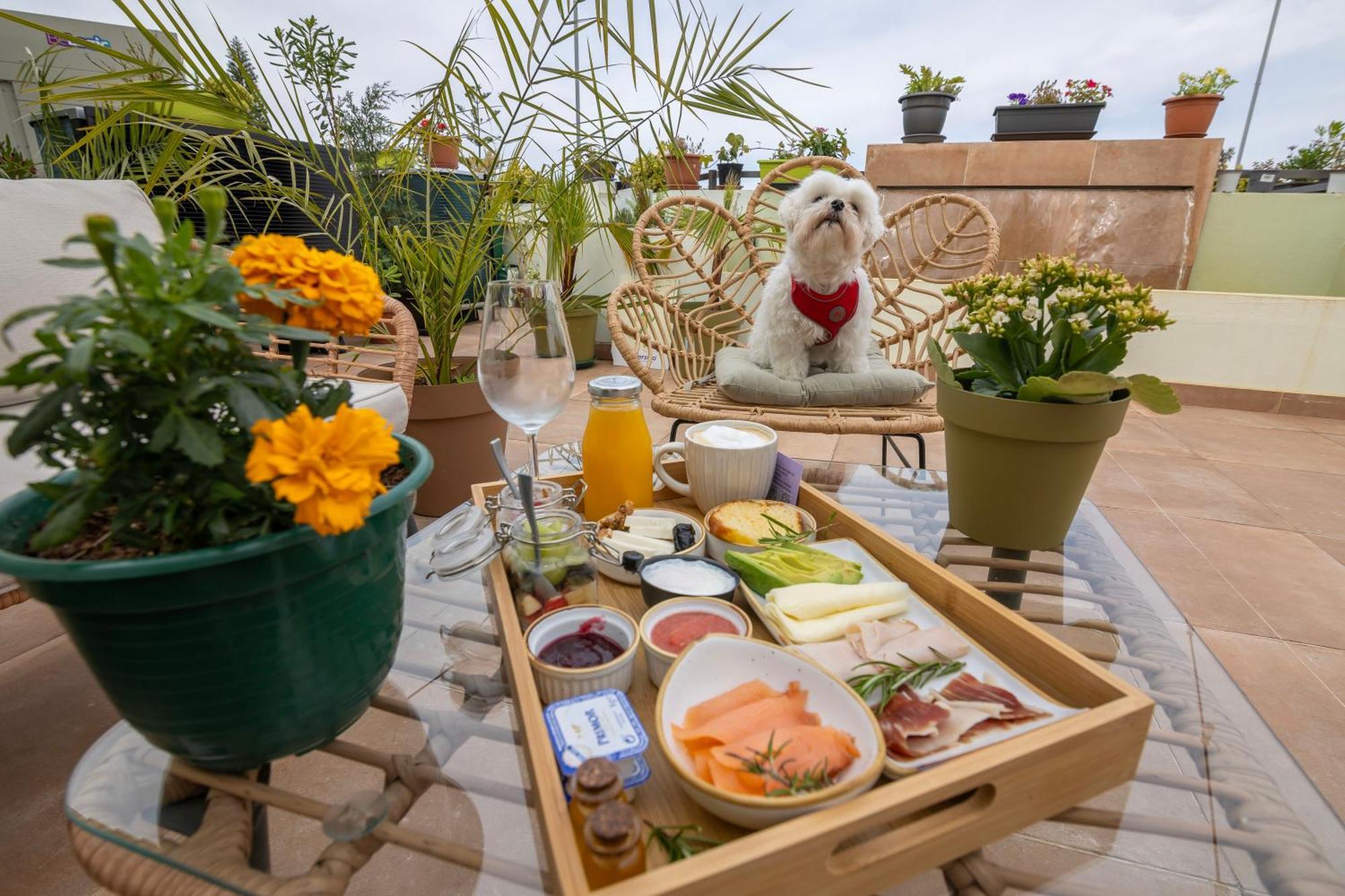 Growersgo Boutique Hostel Huelva Bagian luar foto